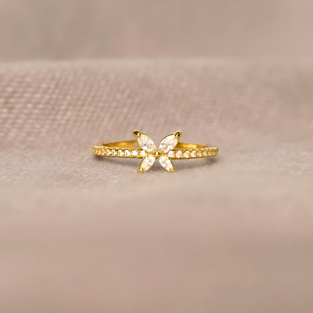 Anillo Despertar de la Conciencia