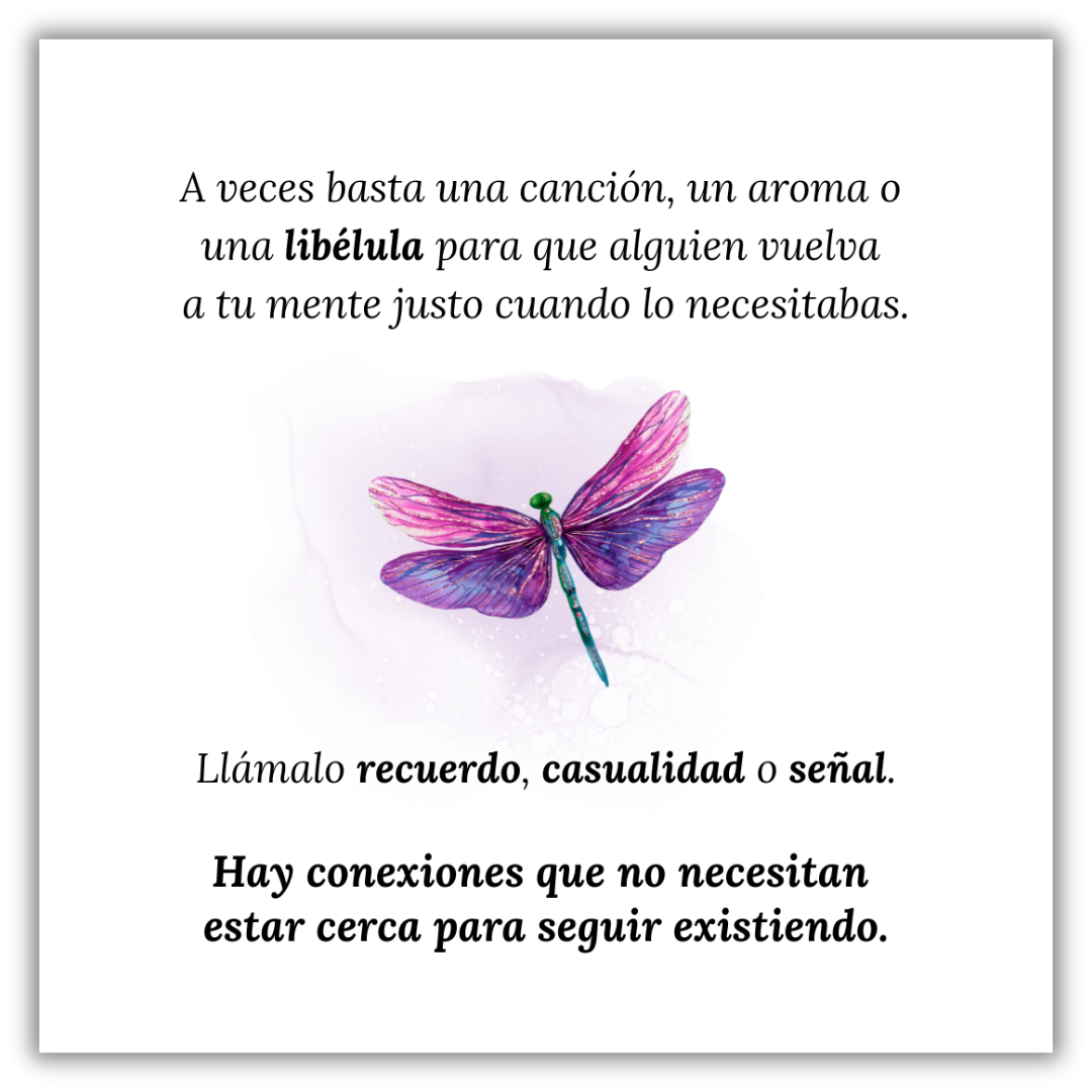 Collar Libélula